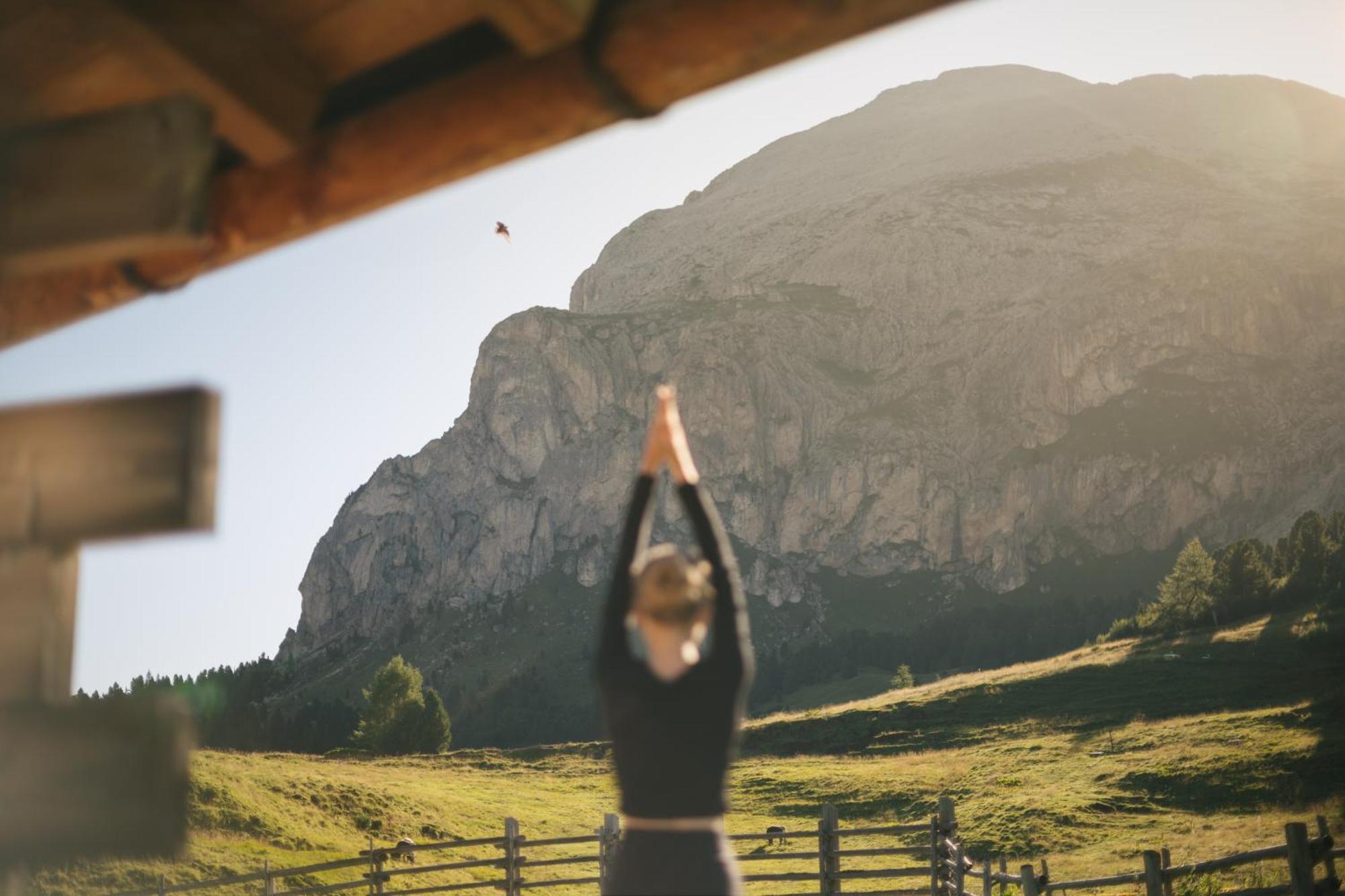 Zallinger Dolomites 阿尔卑斯休斯山 外观 照片