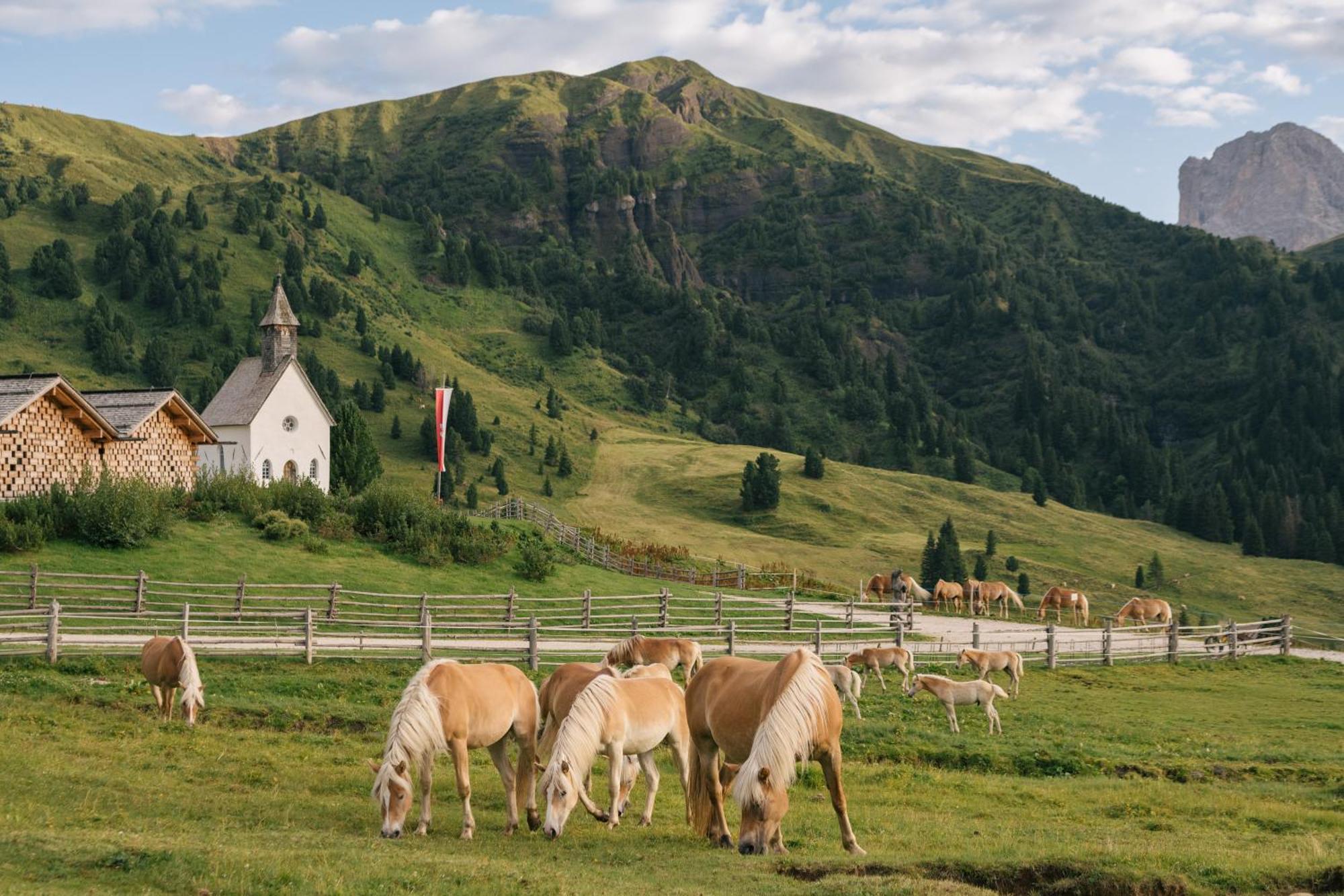 Zallinger Dolomites 阿尔卑斯休斯山 外观 照片